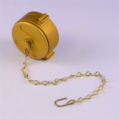Tapa giratoria NPSH de 2 pulgadas de oro y cadena con clip